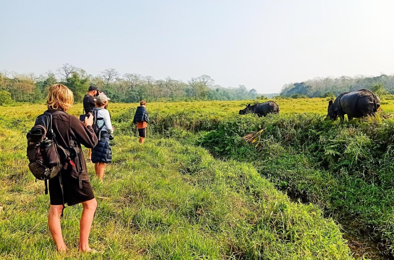 Hotel Rhinoceros-Homestay Sauraha Zewnętrze zdjęcie