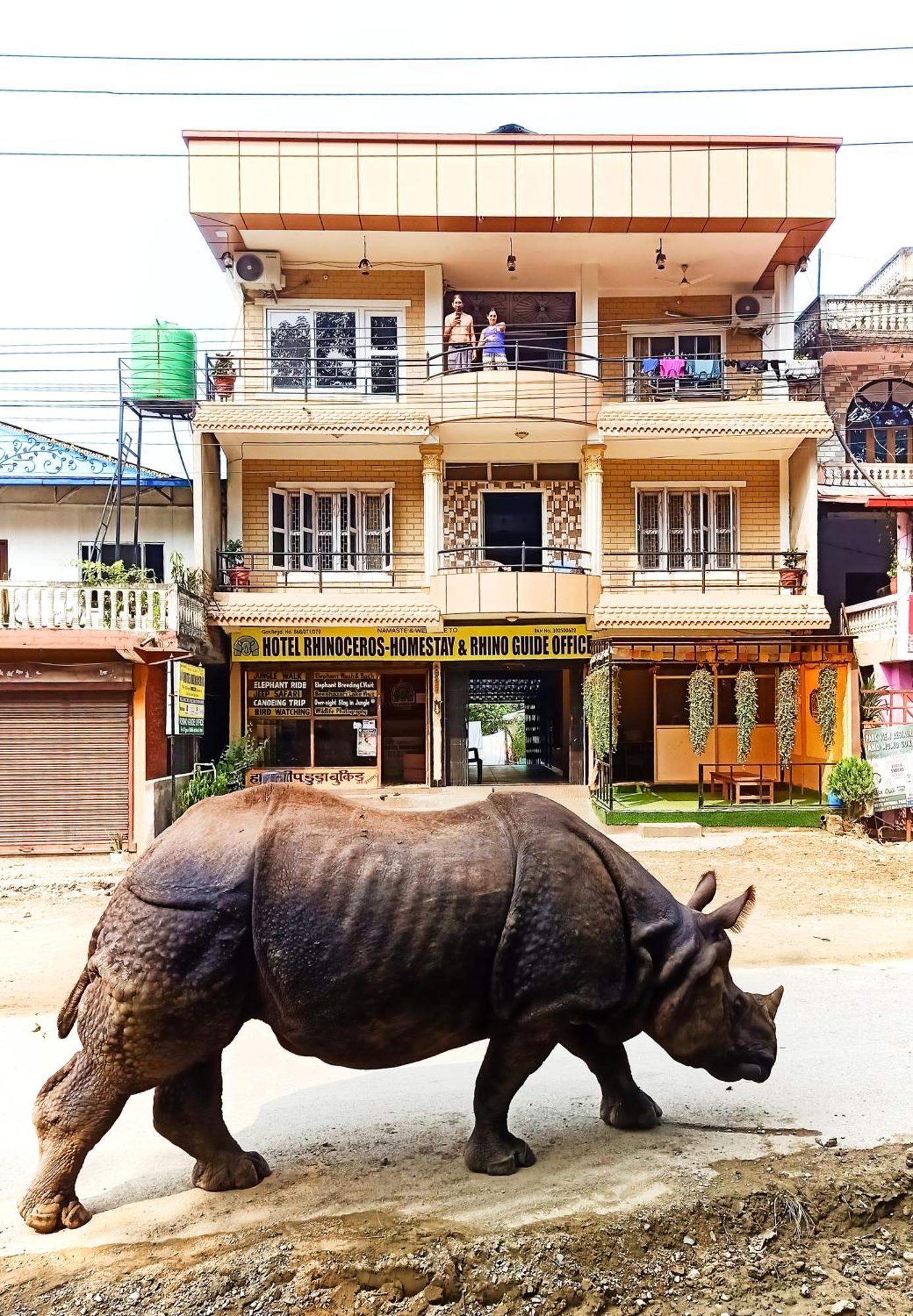 Hotel Rhinoceros-Homestay Sauraha Zewnętrze zdjęcie