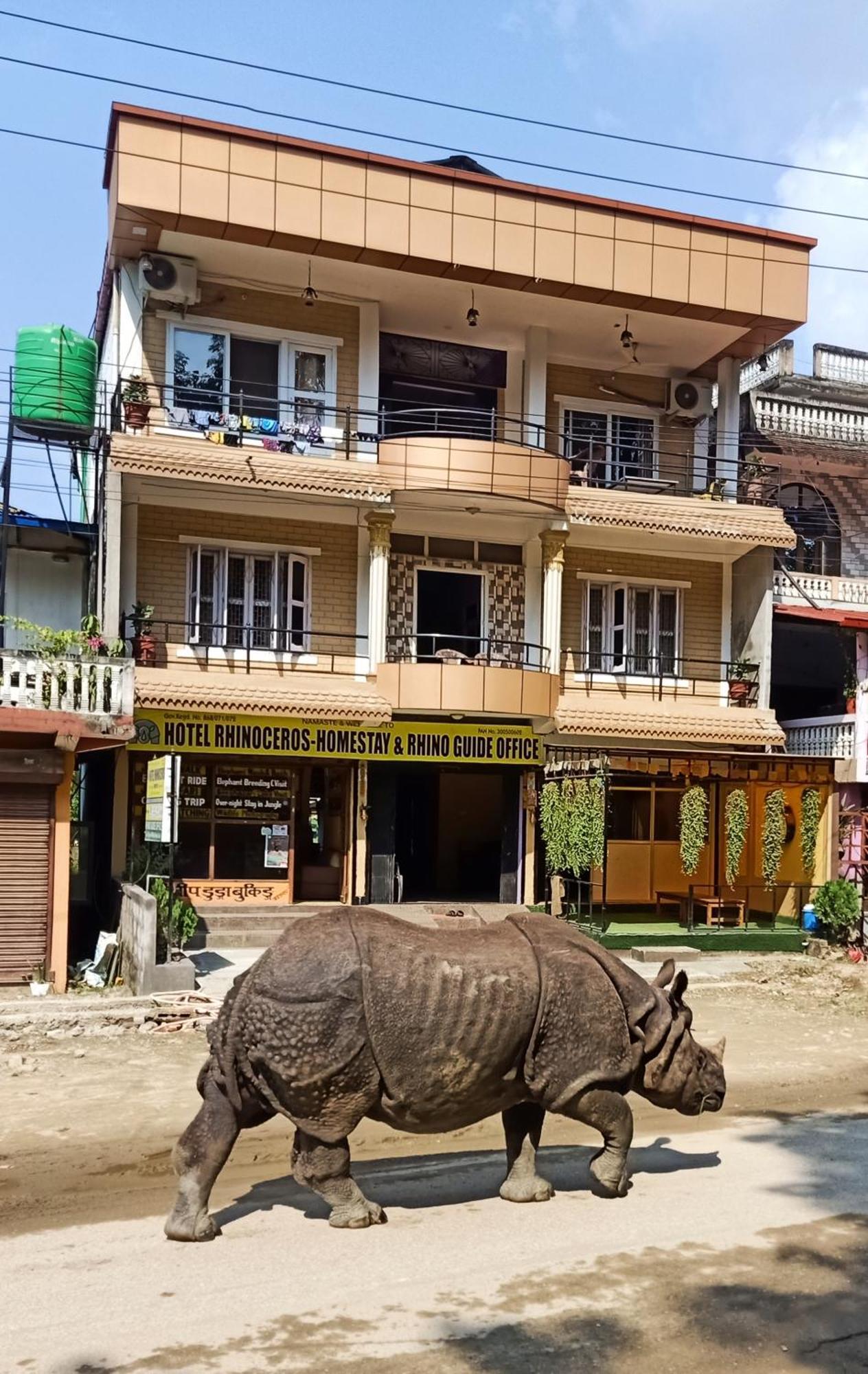 Hotel Rhinoceros-Homestay Sauraha Zewnętrze zdjęcie