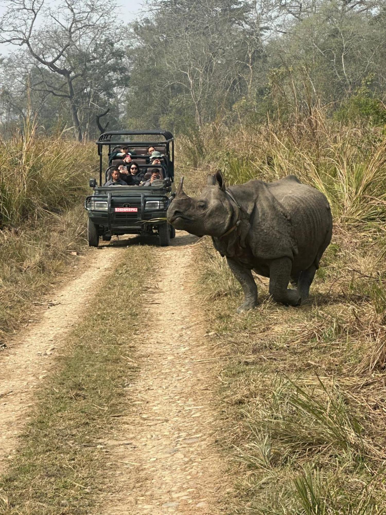 Hotel Rhinoceros-Homestay Sauraha Zewnętrze zdjęcie