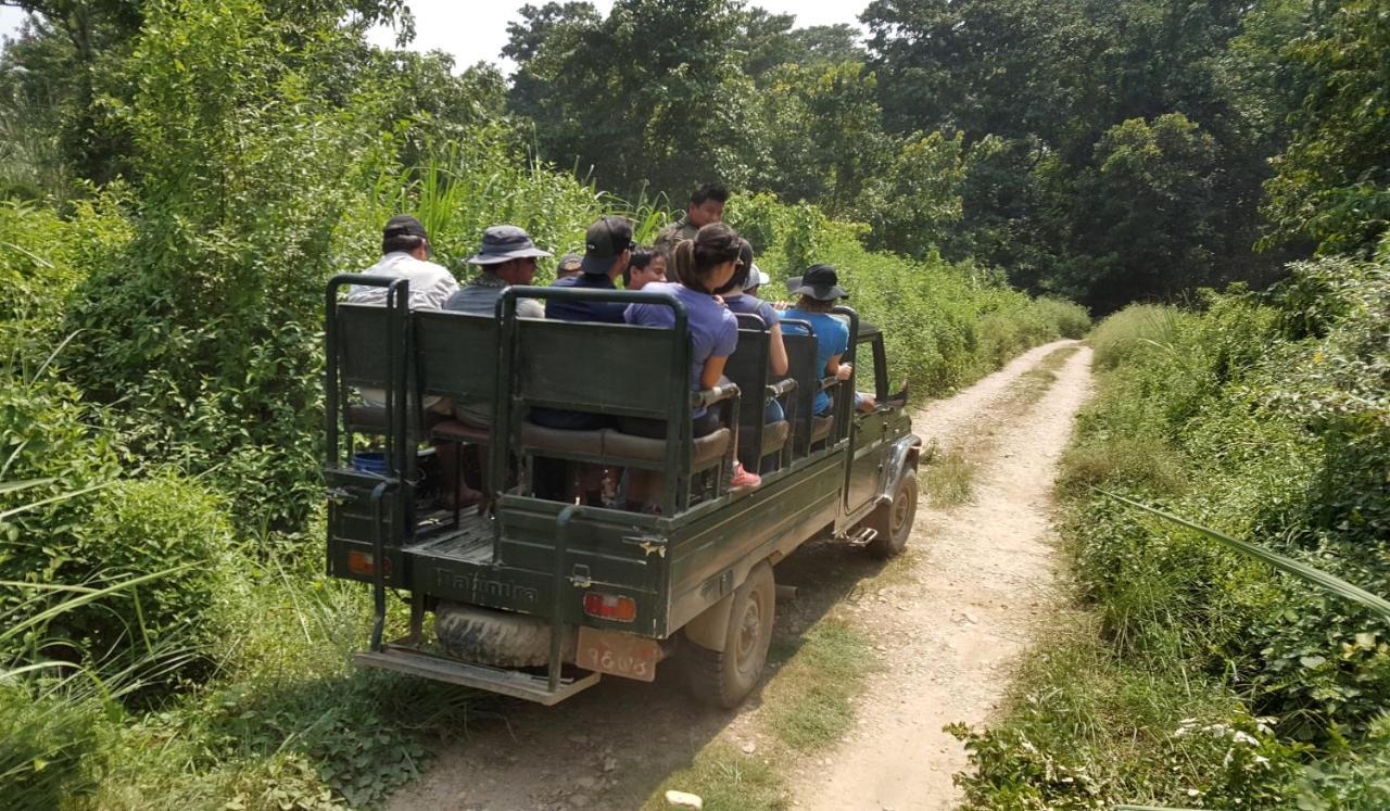 Hotel Rhinoceros-Homestay Sauraha Zewnętrze zdjęcie