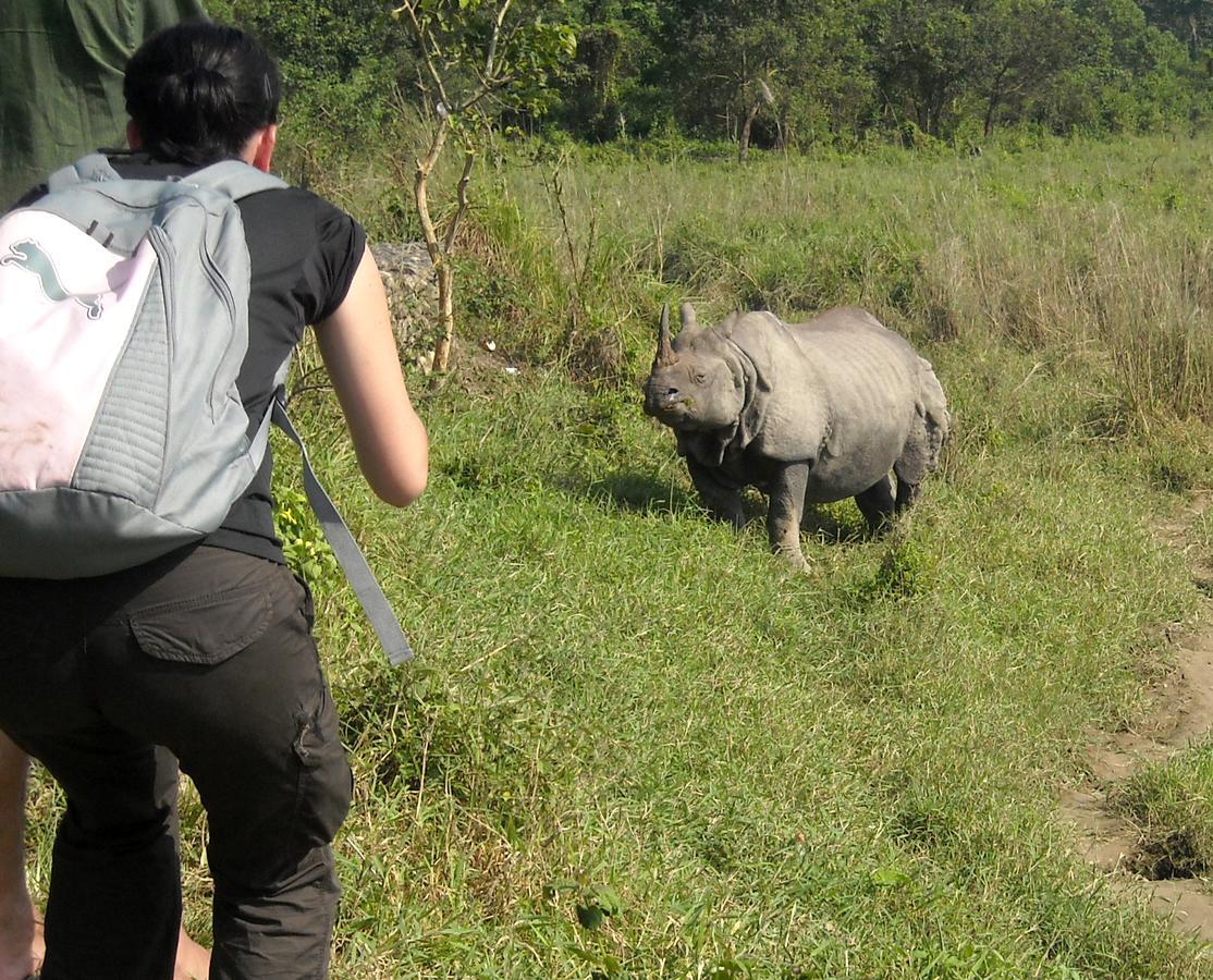 Hotel Rhinoceros-Homestay Sauraha Zewnętrze zdjęcie